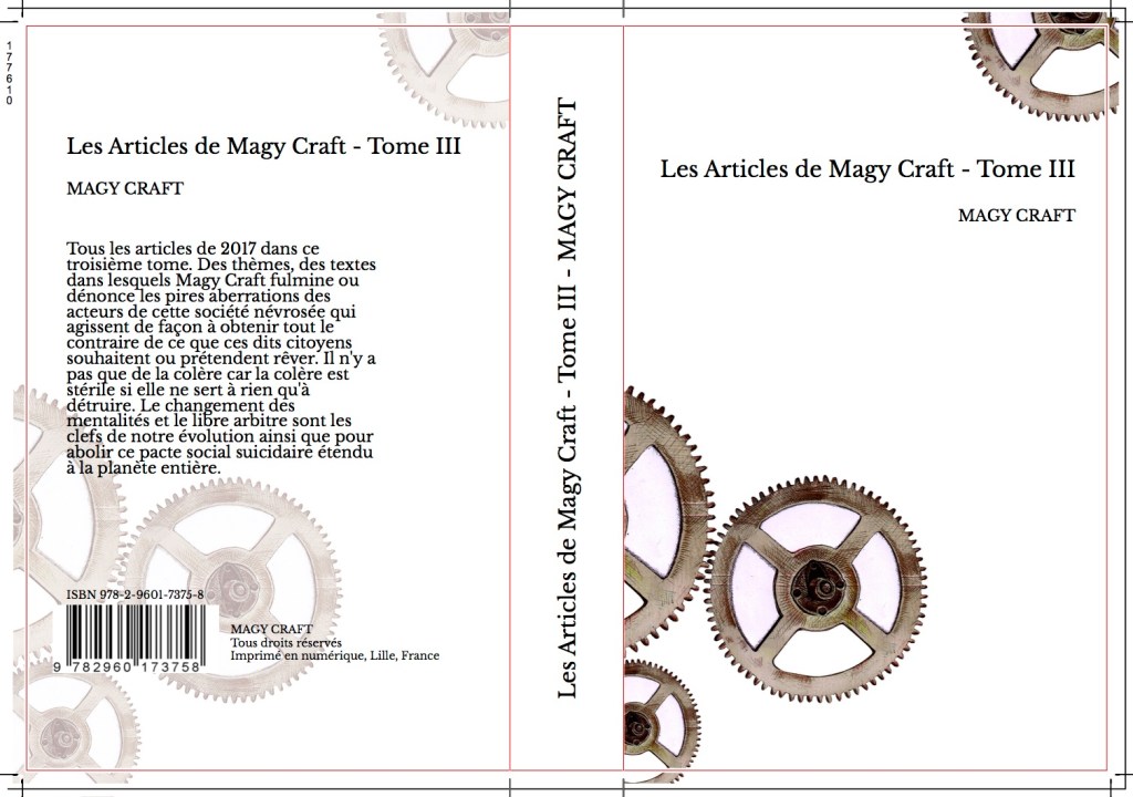 Livre : Les Articles de Magy Craft – Tome&nbsp;III