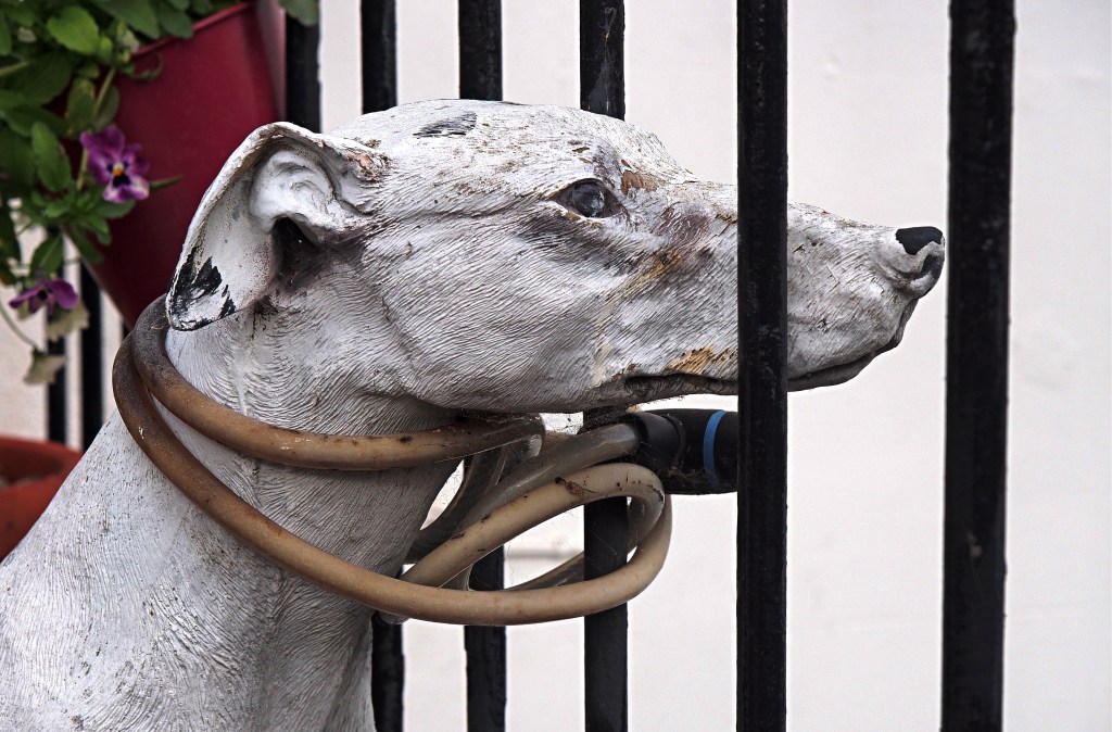 Allons-nous, une nouvelle et énième fois, nous coucher et entrer dans la niche&nbsp;?
