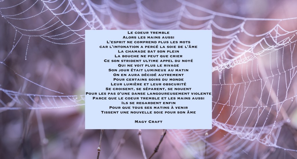 La soie de&nbsp;l&rsquo;âme