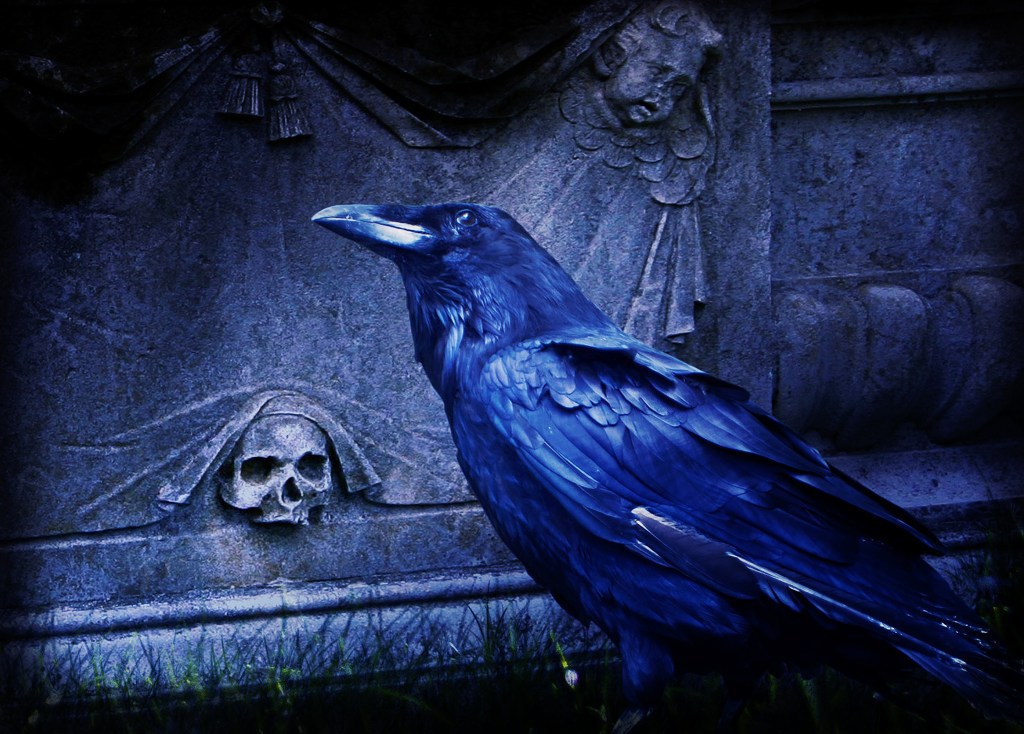 The Raven, Edgard Allan Poe : un moment de&nbsp;partage