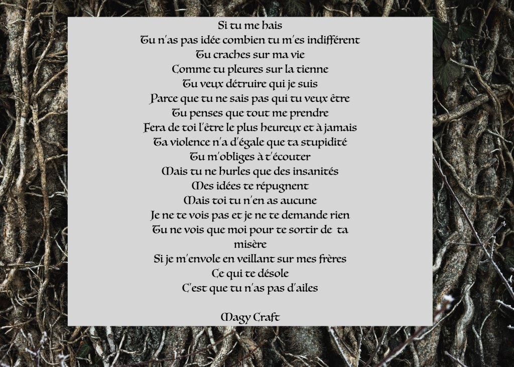 Les ailes de la&nbsp;haine